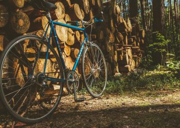 Vacanza in bici